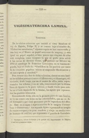 Vigésimatercera Lámina