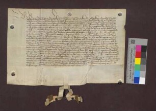 Schirmbrief Herzog Sigmunds von Österreich für das Kloster Sulzburg.