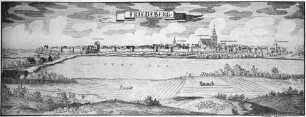 Friedeberg