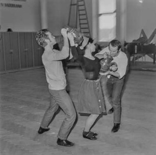 Pt.-Hw. Probe im Ensemble