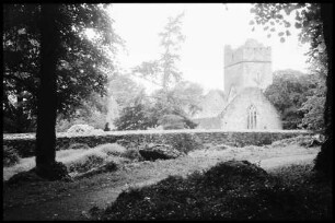 Killarney: Muckross Abbey durch Park bei Killarney
