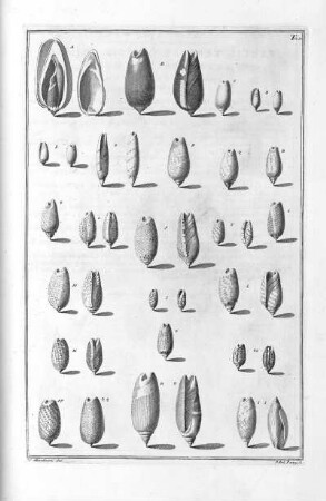 Tab. 23