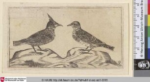[Zwei Lerchen; Two larks]