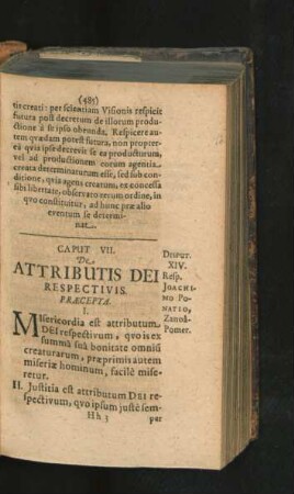 Caput VII. De Attributis Dei Respectivis.