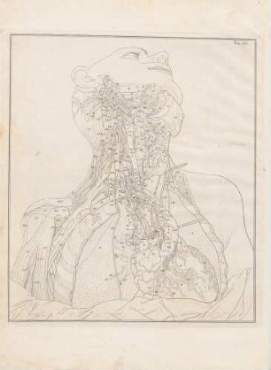 Cardiaci nervi dexteri lateris