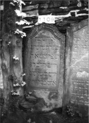 Grabstein 1109 (Index: 99630612) Material: Sandstein Zustand: unten abgeblättert, leicht verwittert Maße HxBxT: 124x59x10 cm Beschreibung: Stele mit eingezogenem Segmentbogenabschluß, Schriftfeld eingetieft: Grabstein 1109