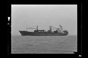 Concordia (1983), Containerschiff, Concordia Schiffahrts GmbH & Co. KG, Elsfleth, Bau-Nr. 474