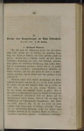 VI. Bericht über Ausgrabungen im Amte Oldenstadt : November 1854