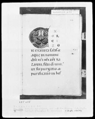Rituale monasticum — Initiale E (xorcizo te creatura), Folio 102recto