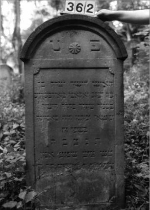 Grabstein 362 (Index: 99803571) Material: Sandstein Zustand: unten abgeblättert/Textverlust Maße HxBxT: 118x57x11 cm Beschreibung: Stele mit verdachtem Rundbogen, profilierter Rand, Giebelfeld Symbolik: Stern: Grabstein 362