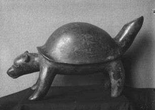 Hund mit Schildkrötenschale