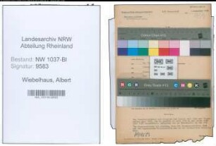 Entnazifizierung Albert Wiebelhaus , geb. 04.10.1895 (Arbeiter)