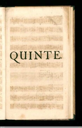 QUINTE.
