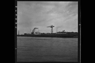 Seestern ex Bergeland-63 (1954), Helmut Horten, Hamburg
