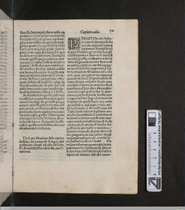 Capitulo XIII