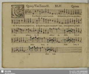 XLV. Crucifixum in carne laudate