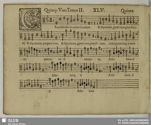 XLV. Crucifixum in carne laudate