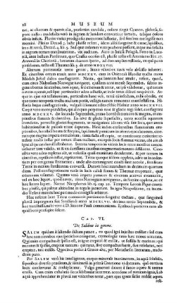 Cap. VI. De Salibus in genere