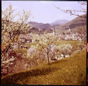 Schönau: Blick durch Blütenbäume auf Schönau
