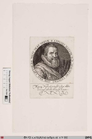 Bildnis Wilhelm Ludwig, Graf von Nassau-Dillenburg (reg. 1606-20)