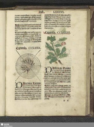 [Capitula. CCLXXXI - CCXC]