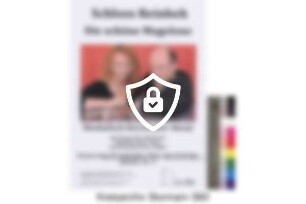 Die schöne Magelone