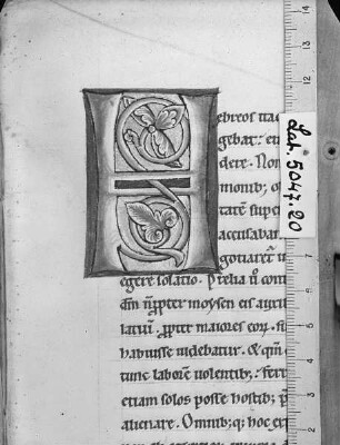 Flavius Iosephus: Antiquitatum Iudaïcarum ; De bello Iudaïco libri septem / Flavii Josephi antiquitatum Judaïcarum libri viginti : ad calcem subjicitur sancti Hieronymi de Josepho testimonium. — Initial H(ebreos ...), Folio fol. 20