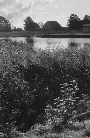 Darßer Landschaft