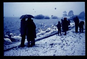 Havel 25.12.66.