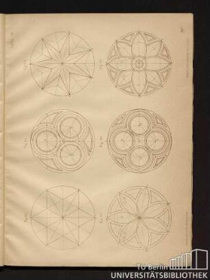 Tafel VII. Fig. 62 bis Fig. 67.
