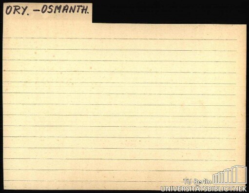 ORY.-OSMANTH.