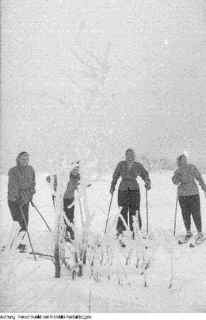 Winter, Mirze auf dem Winterberg