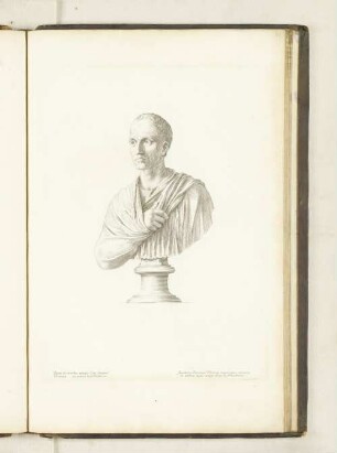 Buste antique de marbre, d'un fenateur Romain au Palais des Thuilleries.