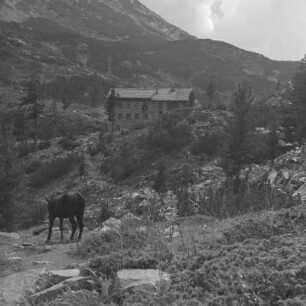 Landschaftsbild vom Pirin-Gebirge