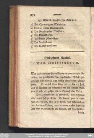Siebzehntes Kapitel. Vom Quittenbaum.