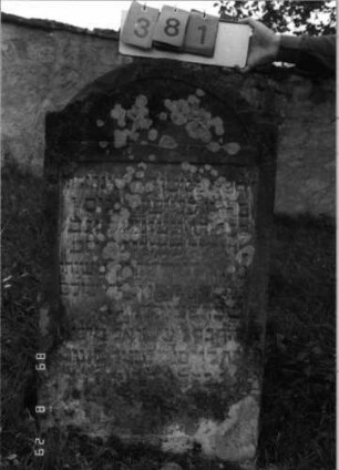 Grabstein 381 (Index: 100107856) Material: grauer Sandstein Zustand: stark verwittert, versalzen und bewachsen Maße HxBxT: 114x64x15 cm Beschreibung: Stele mit eingezogenem Rundbogenabschluß, Schriftfeld rechteckig eingetieft: Grabstein 381