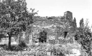 Eilenburg. Holländermühle, Ruine, Bergstraße 32