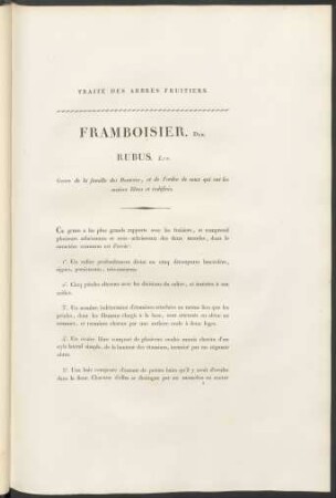 Framboisier. Duh. Rubus. Lin.