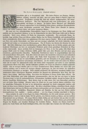 15: Galera