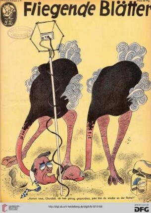 Nr. 5065