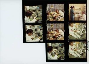 COOP, 1981