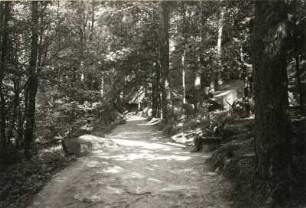 Oberlausitz. Mittleres Spreetal. Uferpromenade beim Eintritt der Spee in die "Bautzener Skala". Engtalstrecke im Vogelhain (Humboldthain)