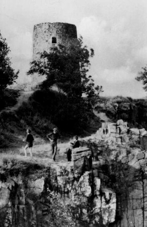 Hohburg-Lüptitz. Holländermühle auf dem Wolfsberg, Ruine, Ansichtskarte, 1970, Repro, Ausschnitt