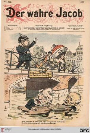 Nr. 224 (1895)