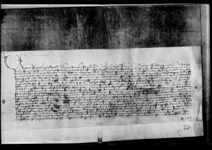 Der Generalvikar von Konstanz erlaubt die Exekution des (wörtlich eingerückten) Mandats WR 10181.