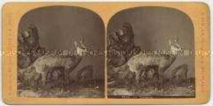 Gämsen - aus der Serie "Vues de la Suisse et d'Italie" Bild-Nr 1245
