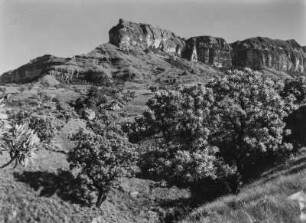 Die Drakensberge : Felswand in den Ausläufern der Drakensberge ("Drachenberge")