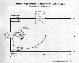 Modell: Kälbermast - Tieflaufstall - Einstreuen