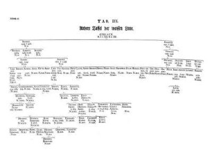 Tab. III. Andere Taffel der weissen Linie.