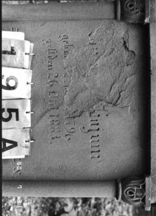 Grabstein 195 (Index: 99790357) Zustand: weiter verwittert Maße HxBxT: 182x69x23 cm: Grabstein 195A